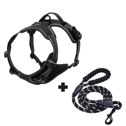 Furvale™ Complete No-Pull Walking Set