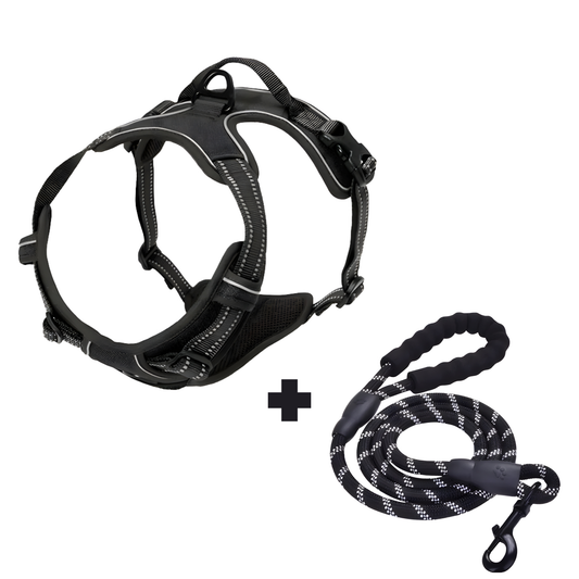 Furvale™ Complete No-Pull Walking Set