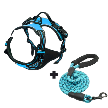 Furvale™ Complete No-Pull Walking Set