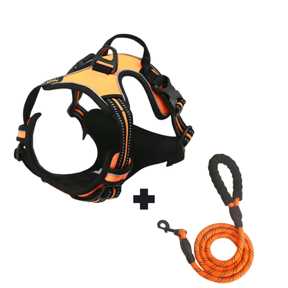 Furvale™ Complete No-Pull Walking Set