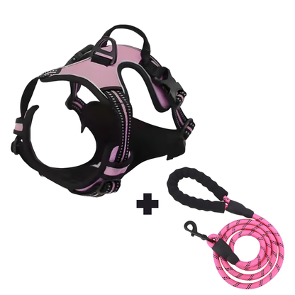 Furvale™ Complete No-Pull Walking Set