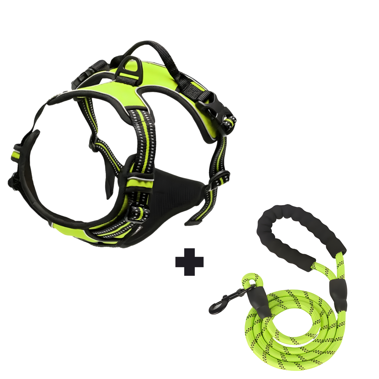 Furvale™ Complete No-Pull Walking Set