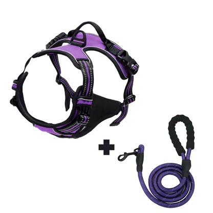 Furvale™ Complete No-Pull Walking Set