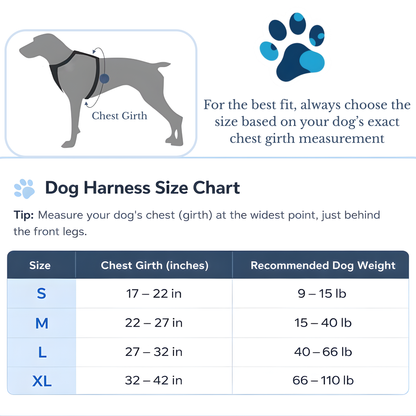 Furvale™ Complete No-Pull Walking Set
