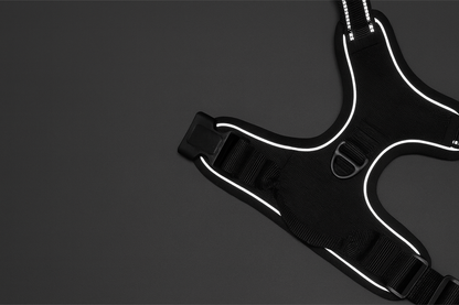 Close-up view of breathable mesh material on no-pull dog harness